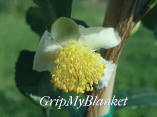 GripMyBlanket