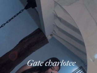 Gate_charlotee