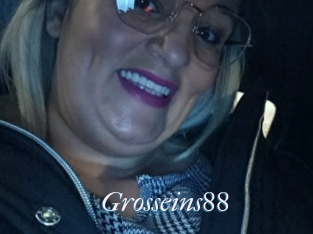 Grosseins88