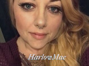 HarlowMae
