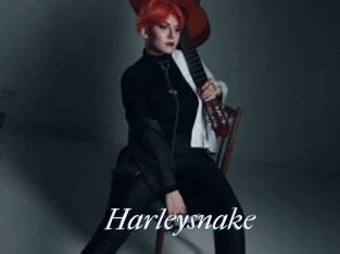 Harleysnake