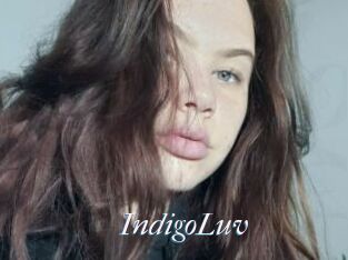 IndigoLuv