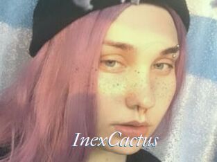 InexCactus