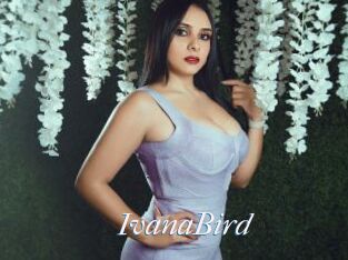 IvanaBird
