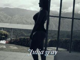 Julia_gray