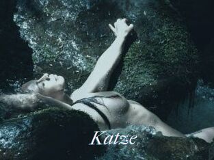 Katze