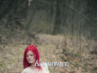 Kerosynee