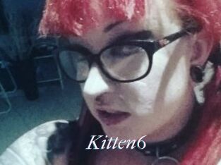 Kitten6