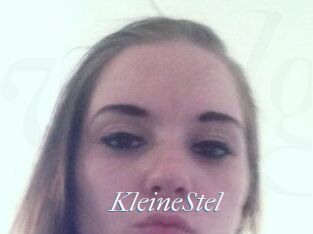 KleineStel