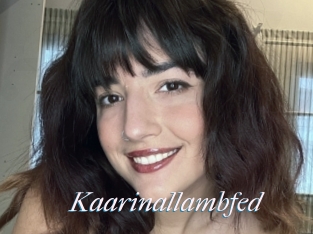 Kaarinallambfed