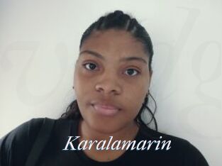 Karalamarin