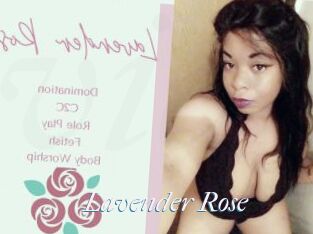 Lavender_Rose