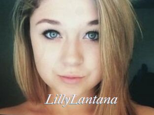 LillyLantana