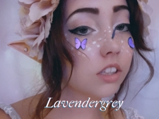 Lavendergrey