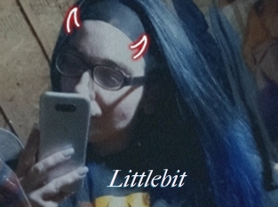 Littlebit