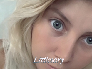 littlesary Video Grosse