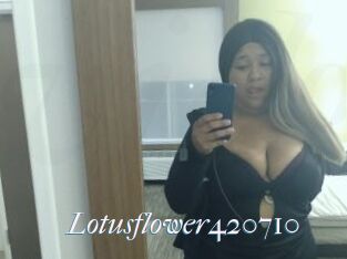 Lotusflower420710