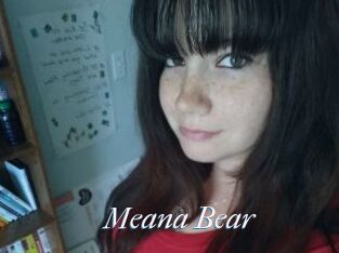 Meana_Bear