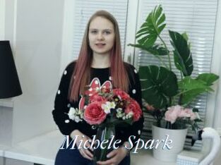 Michele_Spark