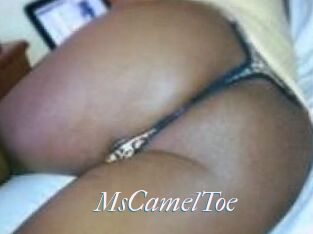 MsCamelToe