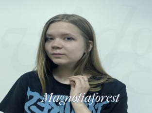Magnoliaforest