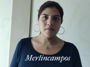 Merlincampos