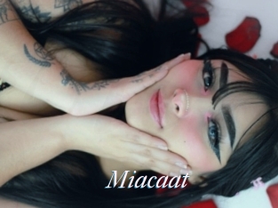 Miacaat