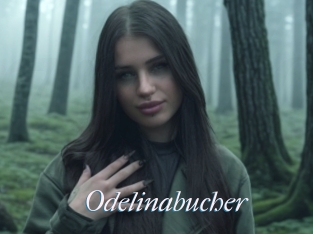 Odelinabucher