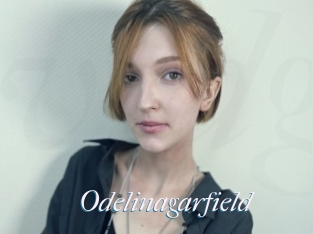 Odelinagarfield