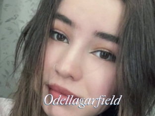 Odellagarfield