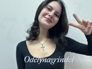 Odelynagrindel