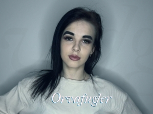 Orvafugler