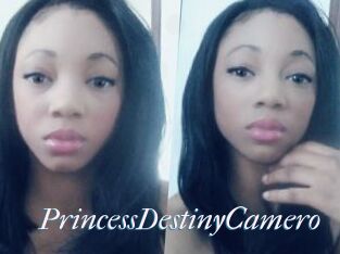 PrincessDestinyCamero