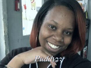 Pudd123