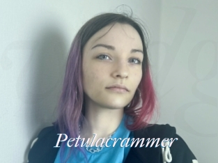 Petulacrammer