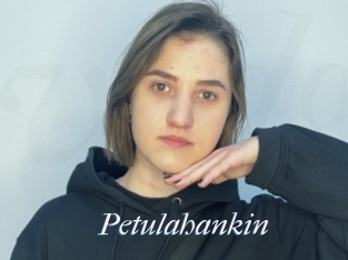 Petulahankin