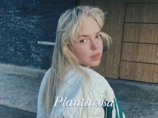 Plantarosa