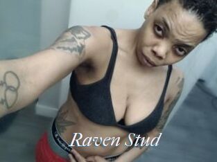 Raven_Stud