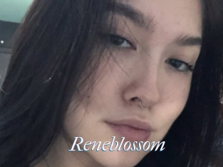 Reneblossom