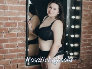 Rosaliebigboobs