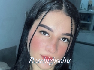 Rosebigboobss