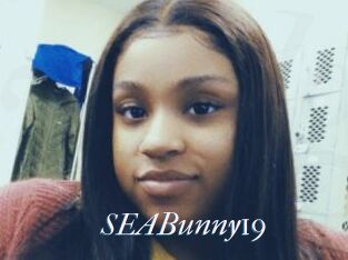 SEABunny19