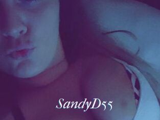 SandyD55