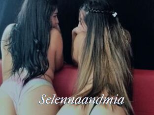 Selennaandmia