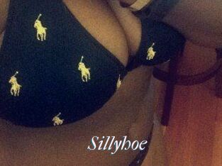 Sillyhoe
