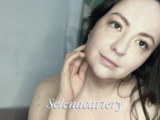 Selenacartery