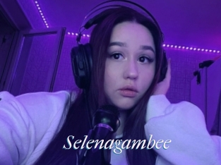 Selenagambee