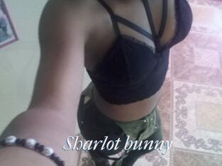 Sharlot_bunny