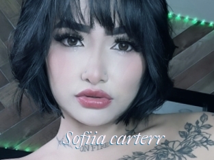 Sofiia_carterr