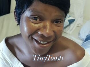 TinyToosh